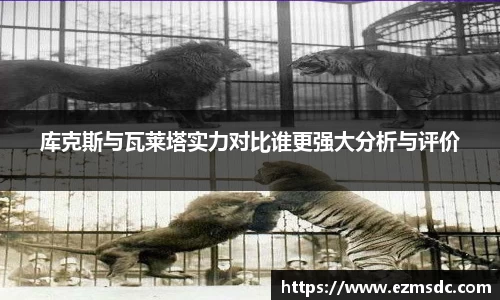 NG娱乐