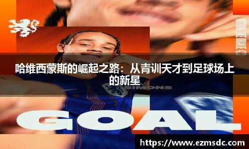NG娱乐官网